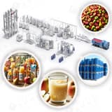 Apple & Pear Juice Processing Line with Falling Film Evaporator, Tubular UHT Sterilizer and Aseptic Bag Filler | Shanghai EasyReal Machinery