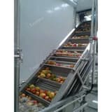 Mango Elevator Conveyor