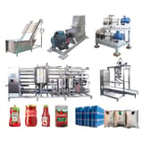 Core equipment for tomato paste production line