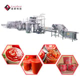 Tomato processing line for paste, puree and ketchup