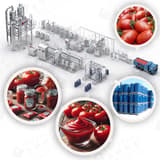 Tomato paste processing plant layout and product formats
