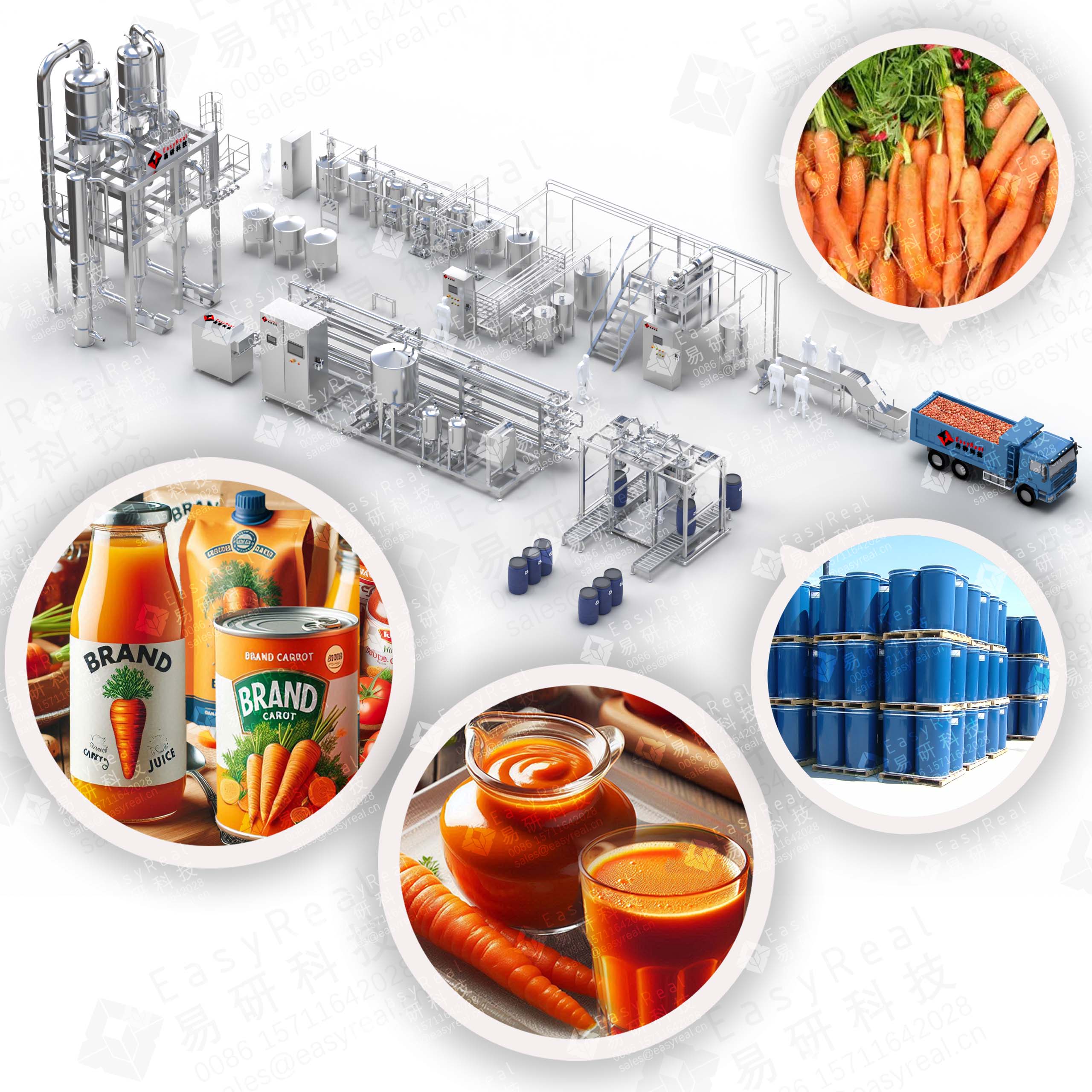 [Copy] Carrot Processing Line