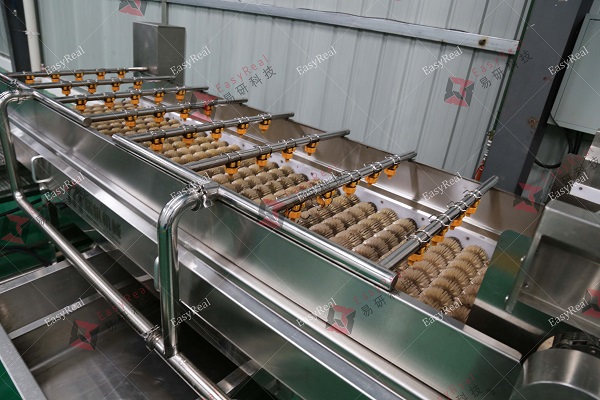 Industrial mango brush washing machine in stainless steel, used for mango cleaning and surface impurity removal in mango pulp processing line by Shanghai EasyReal Machinery.