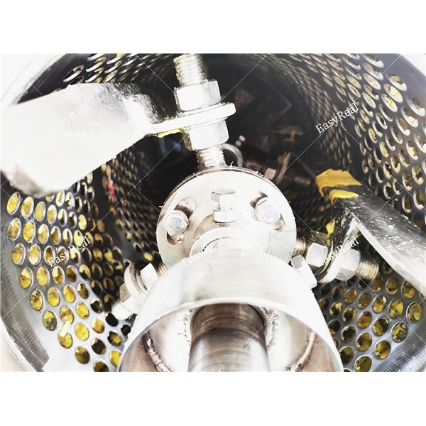 Mango Destoning Machine Interior