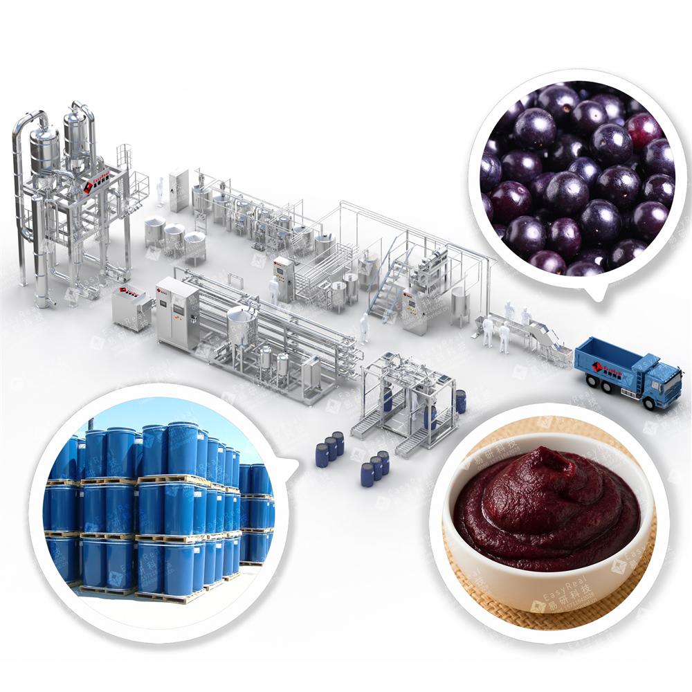 Acai Berry Processing Line