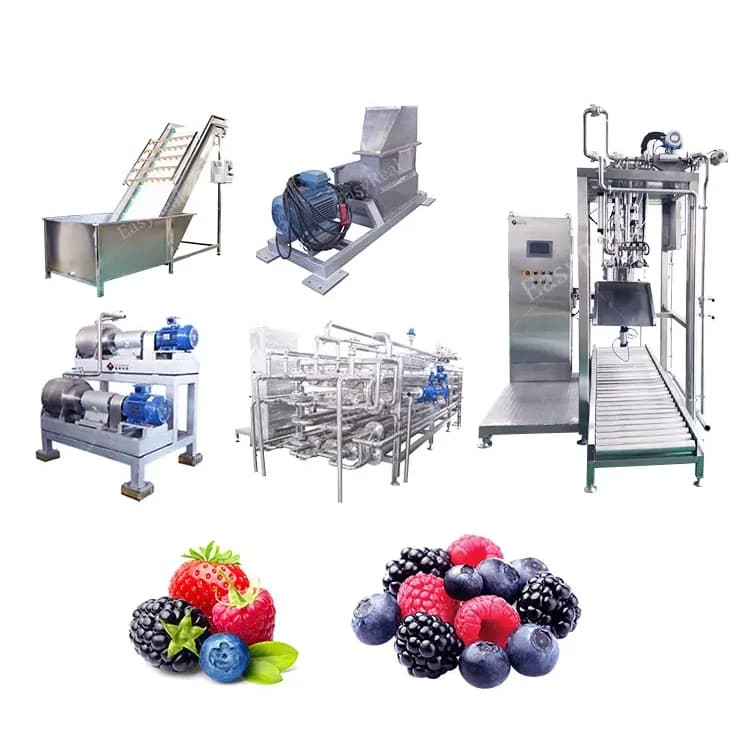 Best-selling Cost-effective Berry Processing Line
