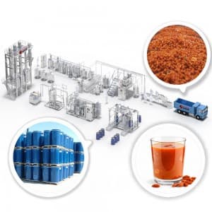 Goji Berries Processing Line