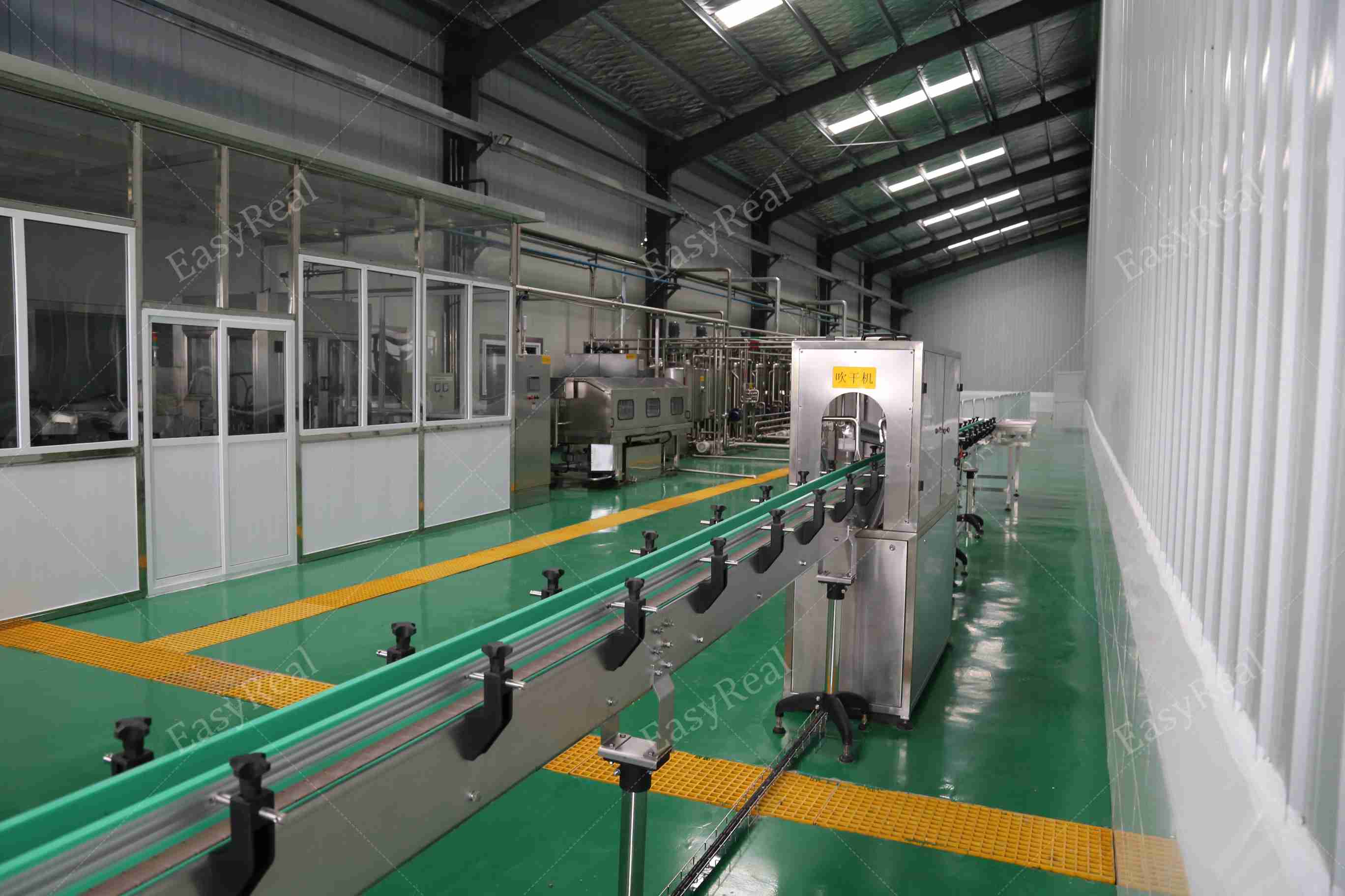 EasyReal automated conveyor belt system and packaging line inside a fruit processing factory.