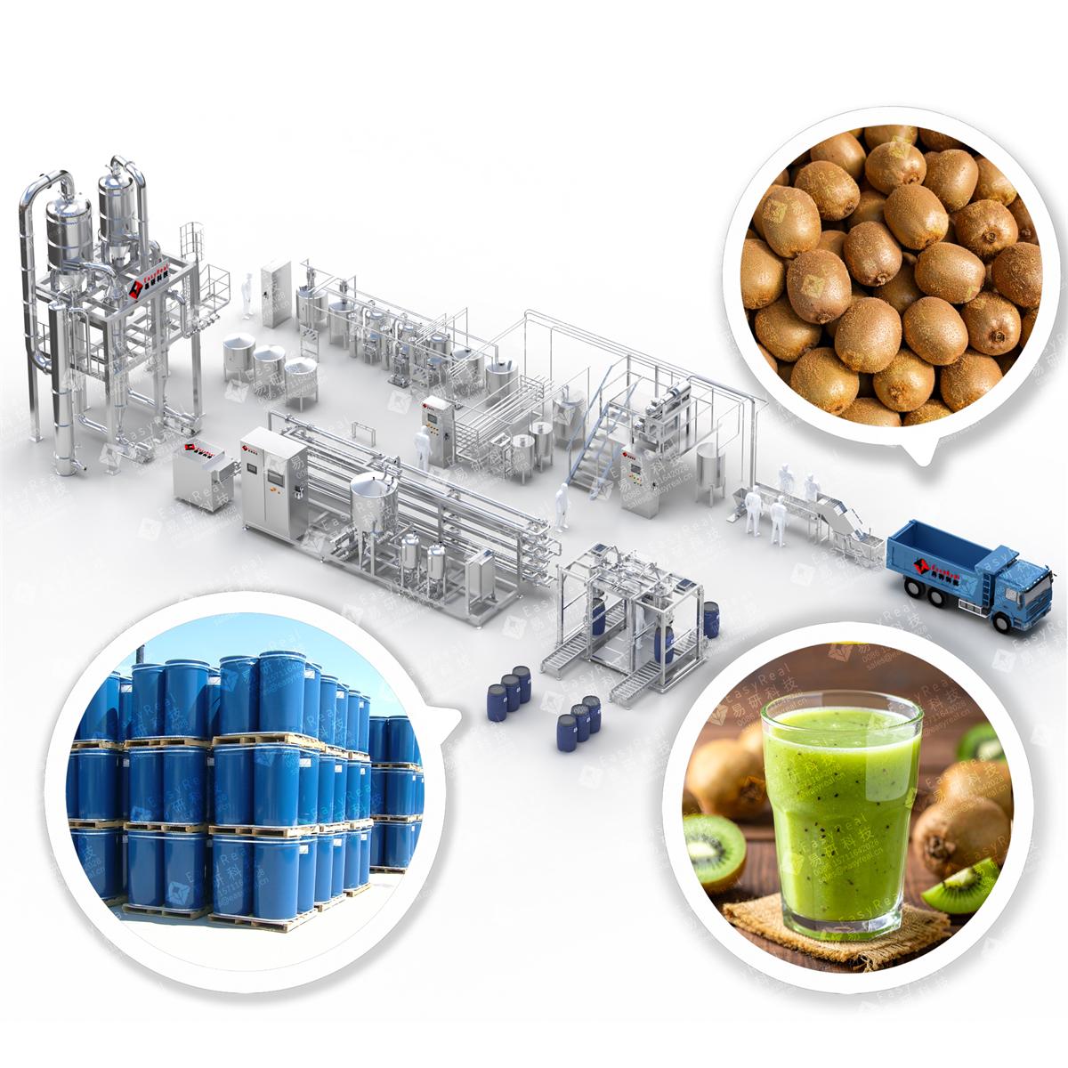 Kiwifruit Processing Line