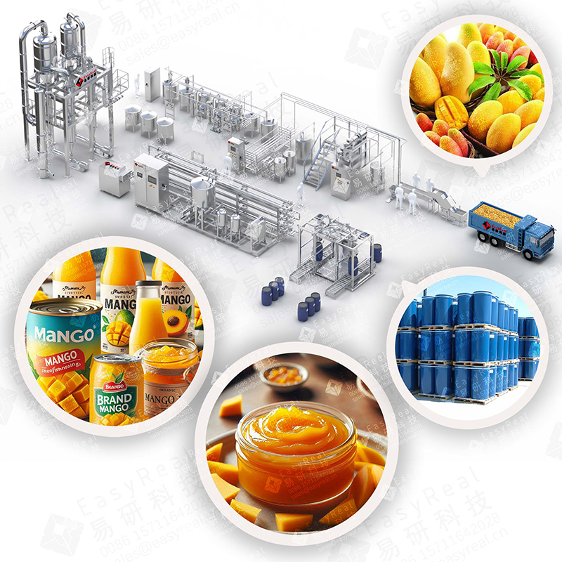 Industrial Mango Processing Line