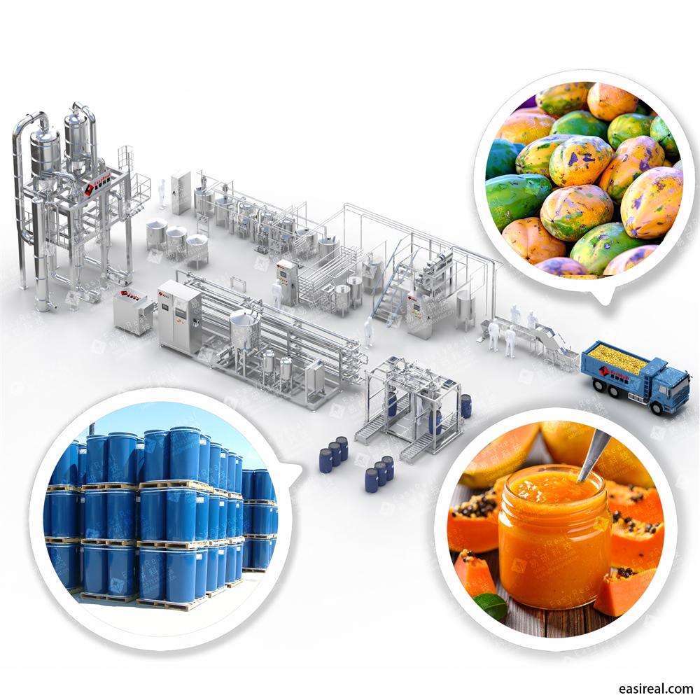 Papaya Processing Line