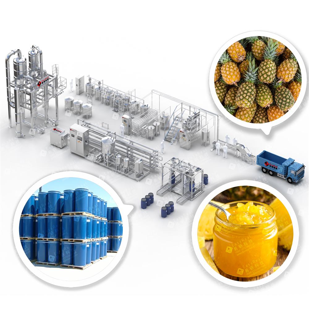 Pineapple Processing Line
