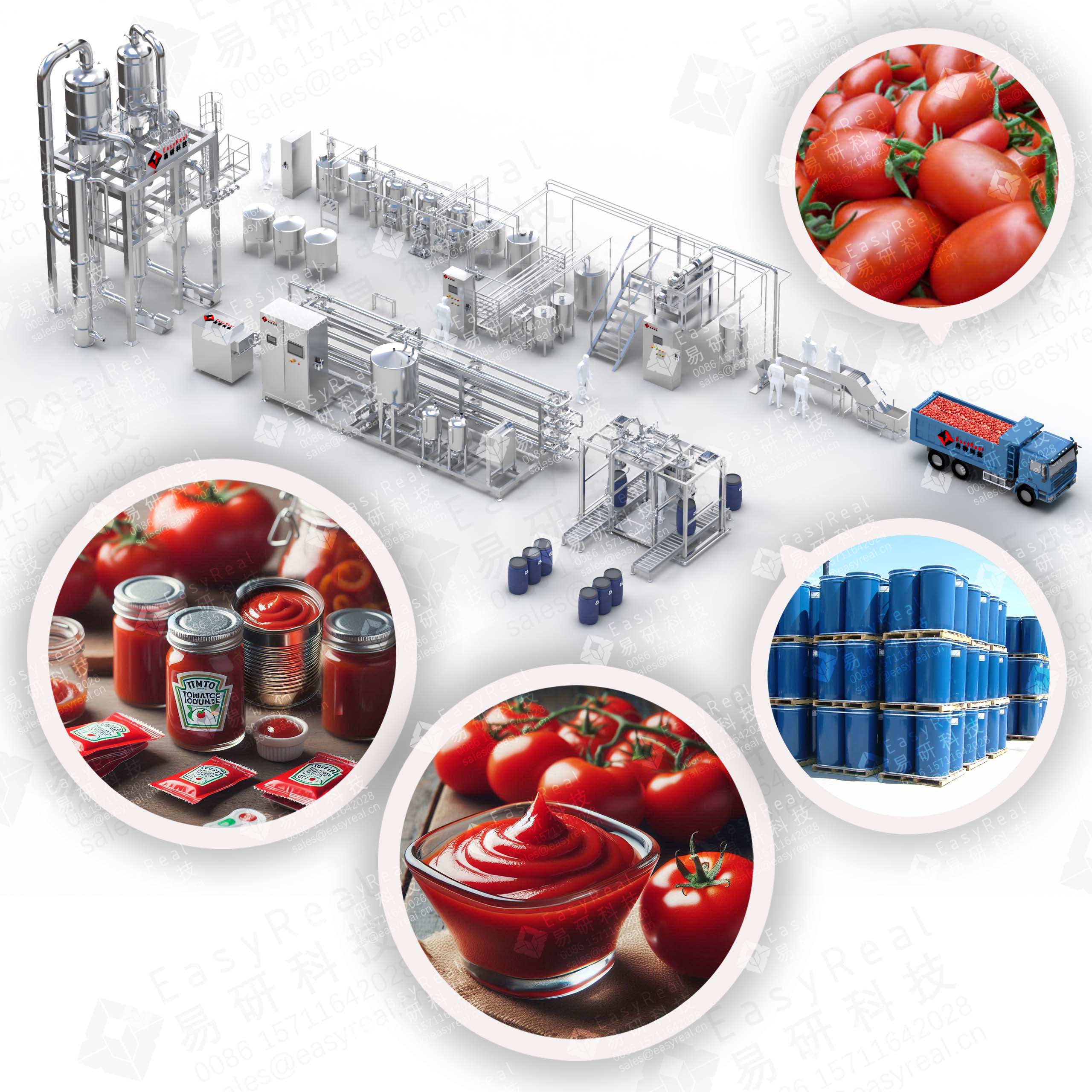 Tomato Processing Machine