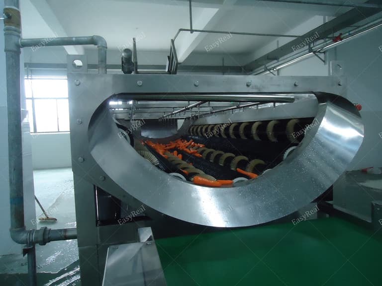 Carrot Washing and Peeling Machine