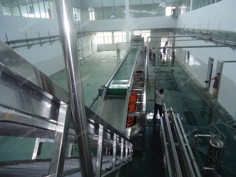 Carrot Washing and Sorting Line for Juice and Puree Production | EasyReal