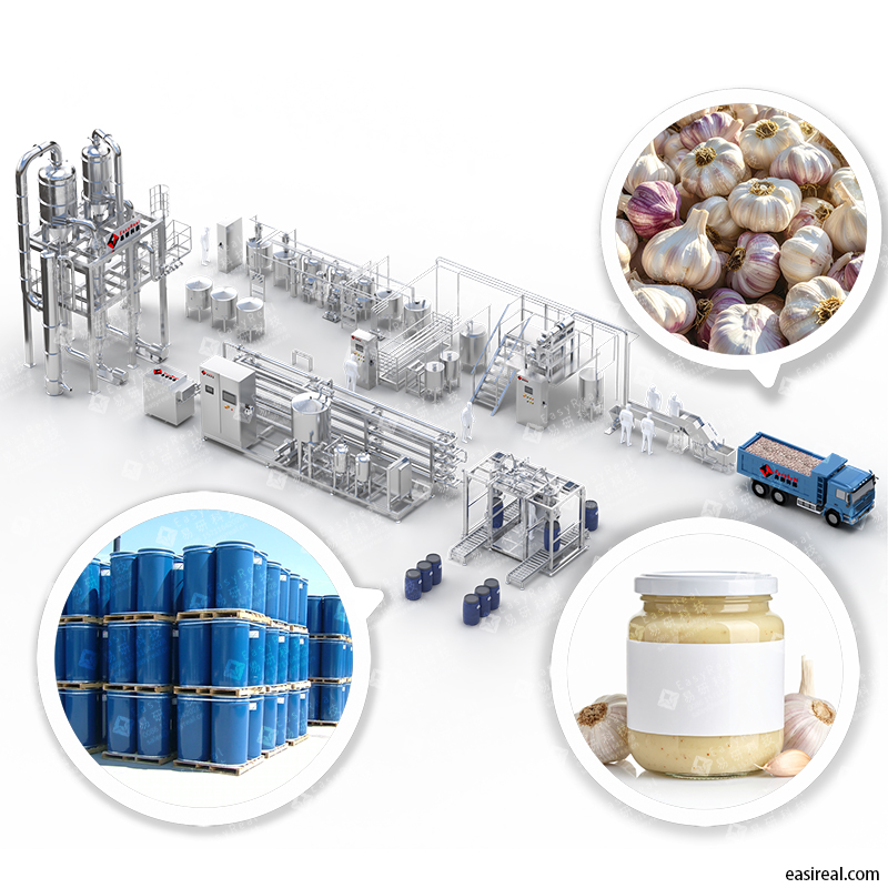 Garlic Processing Line | Garlic Paste & Powder Production