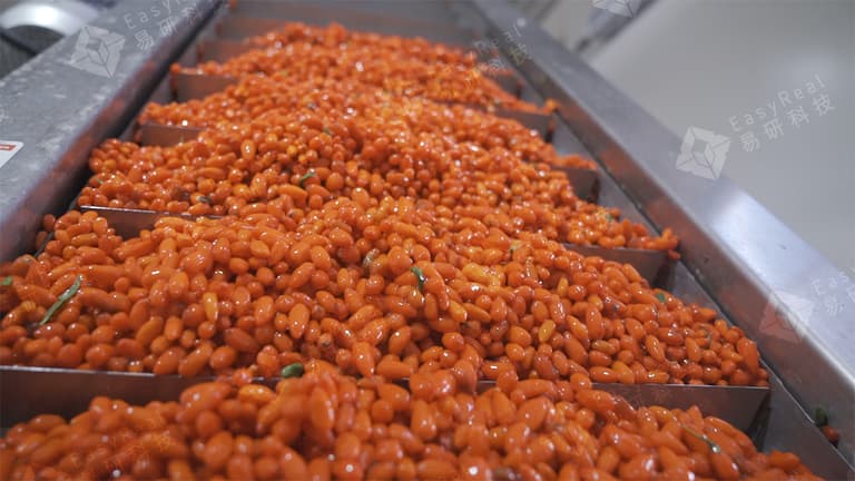 goji extract processing plant