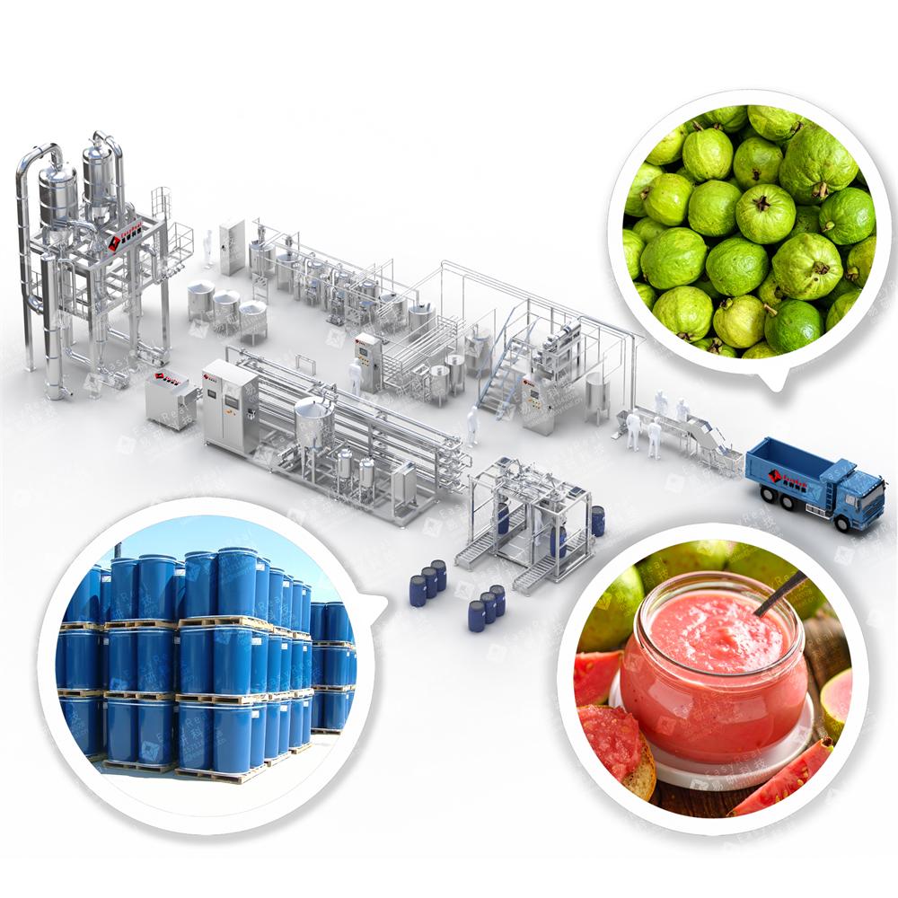 Guava Processing Line