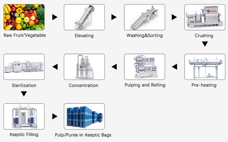 Industrial fruit and vegetable processing flowchart showing steps from raw material washing, crushing, pulping, and concentration to aseptic filling.