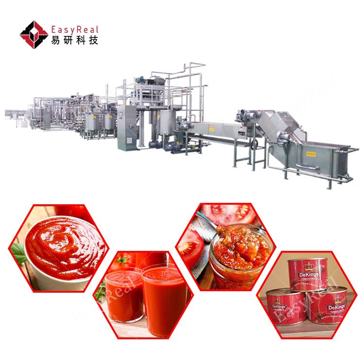 Tomato processing line for paste, puree and ketchup