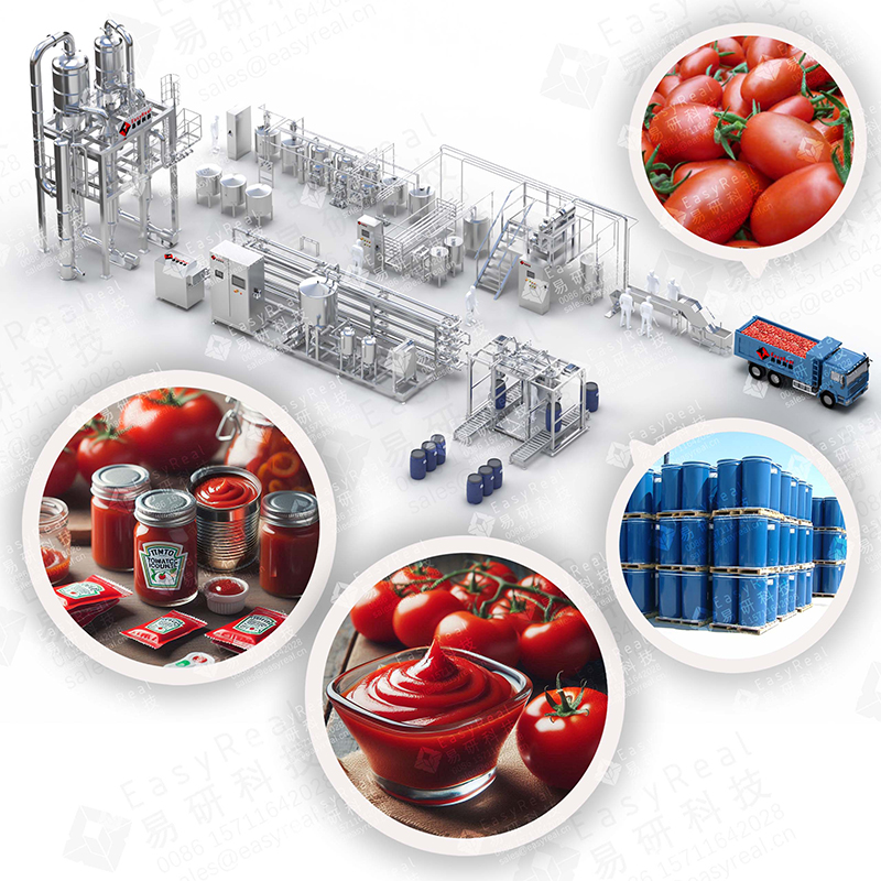 Tomato Processing Line | Paste, Sauce & Ketchup