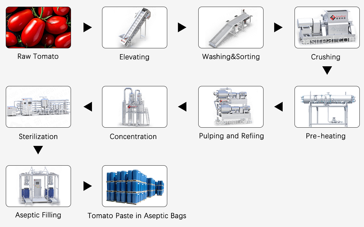Tomato paste production process flow chart showing raw tomato receiving, elevating, washing and sorting, crushing, pre-heating, pulping and refining, concentration, sterilization, aseptic filling and tomato paste in aseptic bags