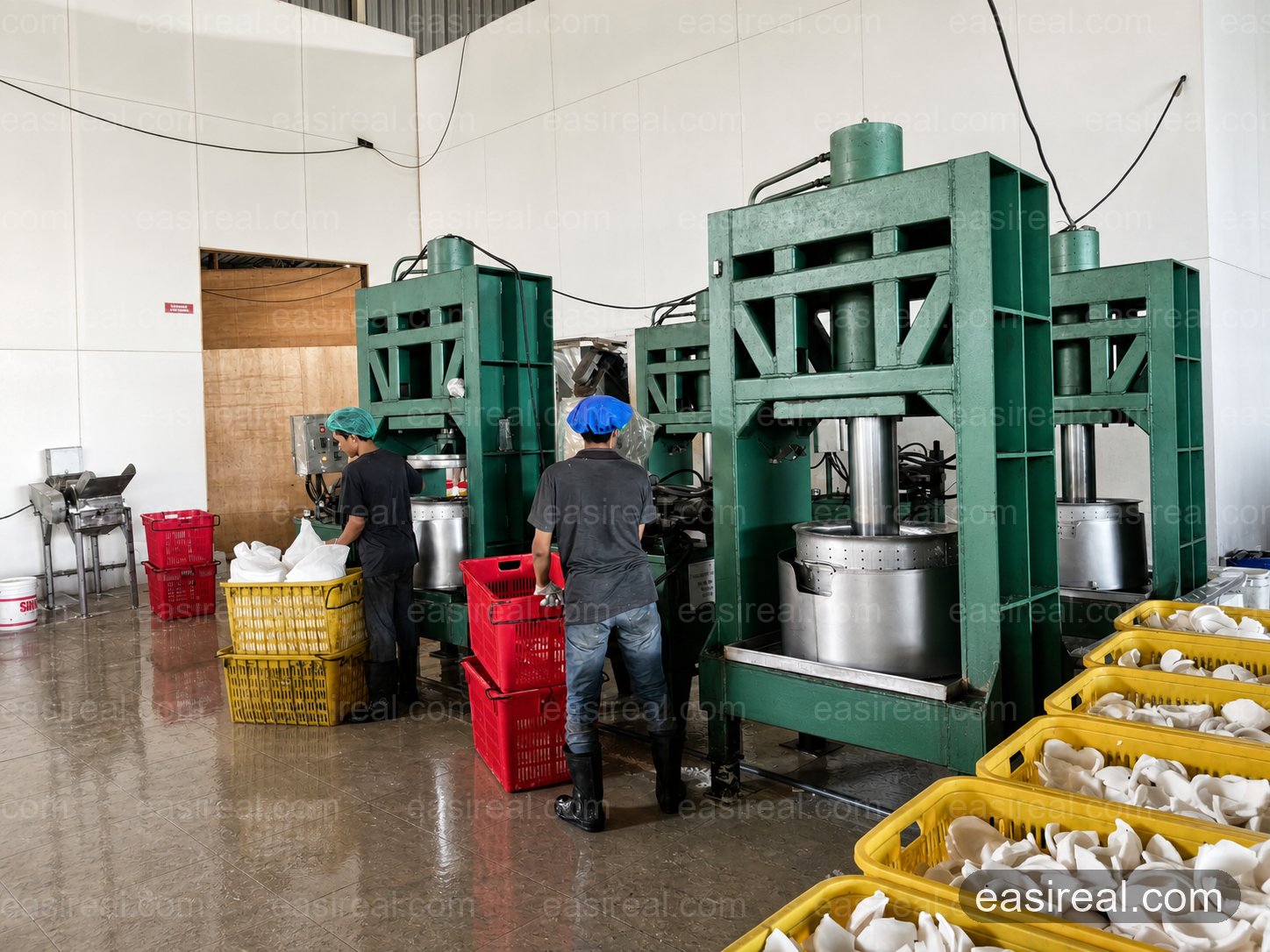 Coconut Meat Preparation and Hydraulic Pressing Area Operators working with hydraulic coconut meat presses in the plant preparation area