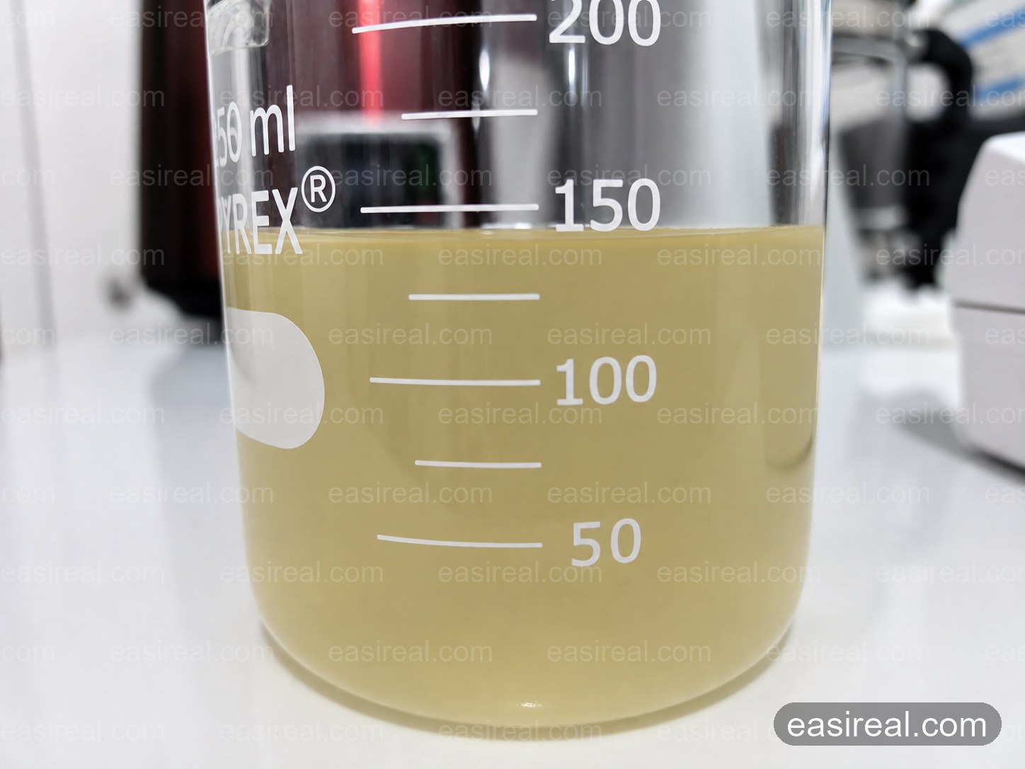 Coconut Water Process Sample for Quality Inspection Coconut water process sample collected in a laboratory beaker for quality inspection