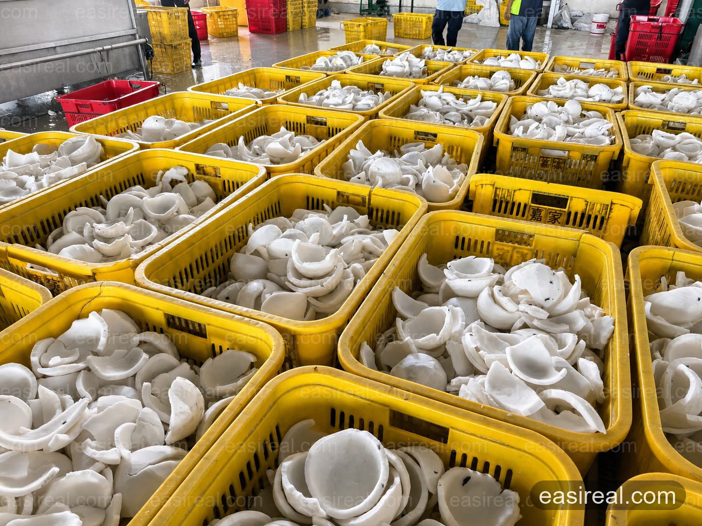 Prepared Coconut Kernel Pieces in Processing Baskets Baskets of prepared coconut kernel pieces awaiting processing at the facility
