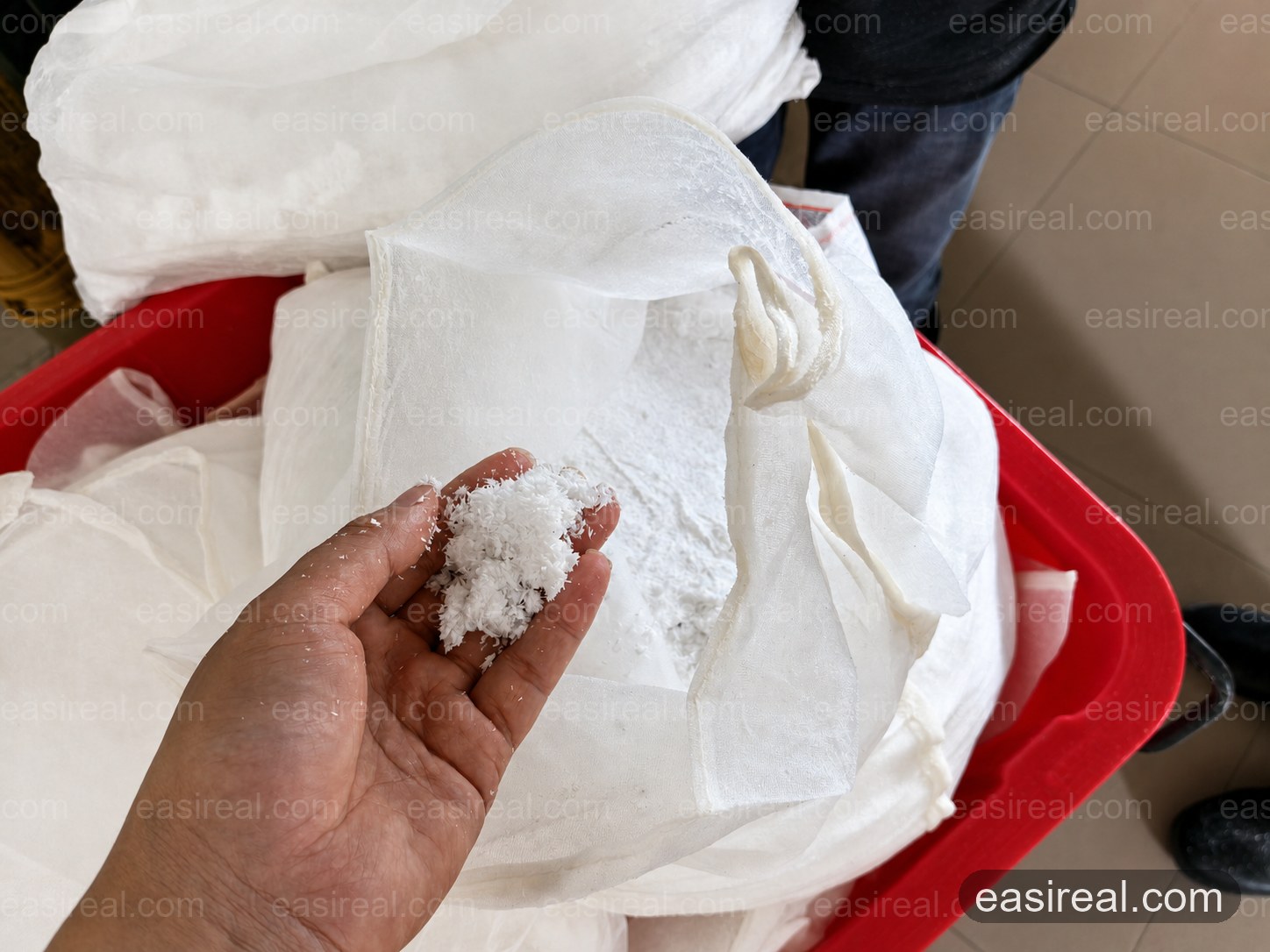 Processed Coconut Solids After Filtration Processed coconut solids held above a filter cloth during raw-material processing