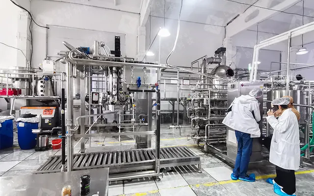 1TPH Aseptic Sterilizer & Bag Filler for ERMAK