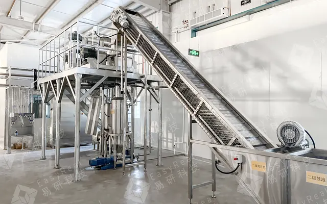 2TPH Goji Berry Juice & Puree Line for Ningxia Dahezhizhou