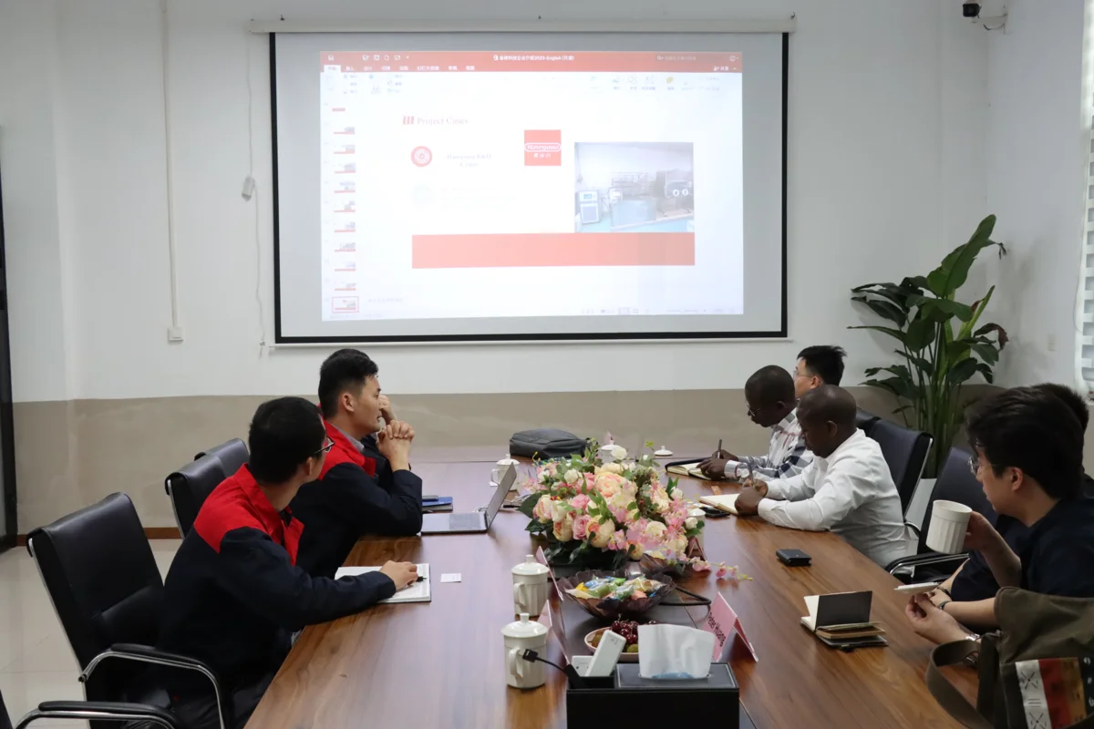Burundian delegation meeting with the EasyReal team