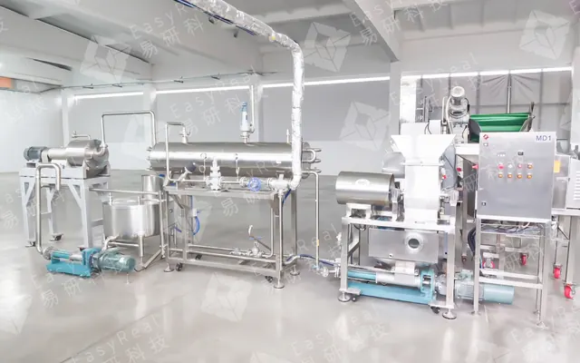 Baby Puree Processing Line for Medison-Prim in Moldova