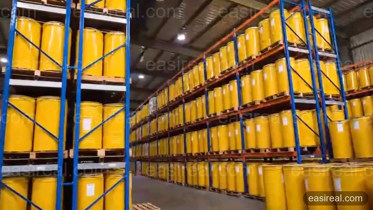 EasyReal Builds 5TPH Mango Puree Processing Line for Watani Food in Yemen