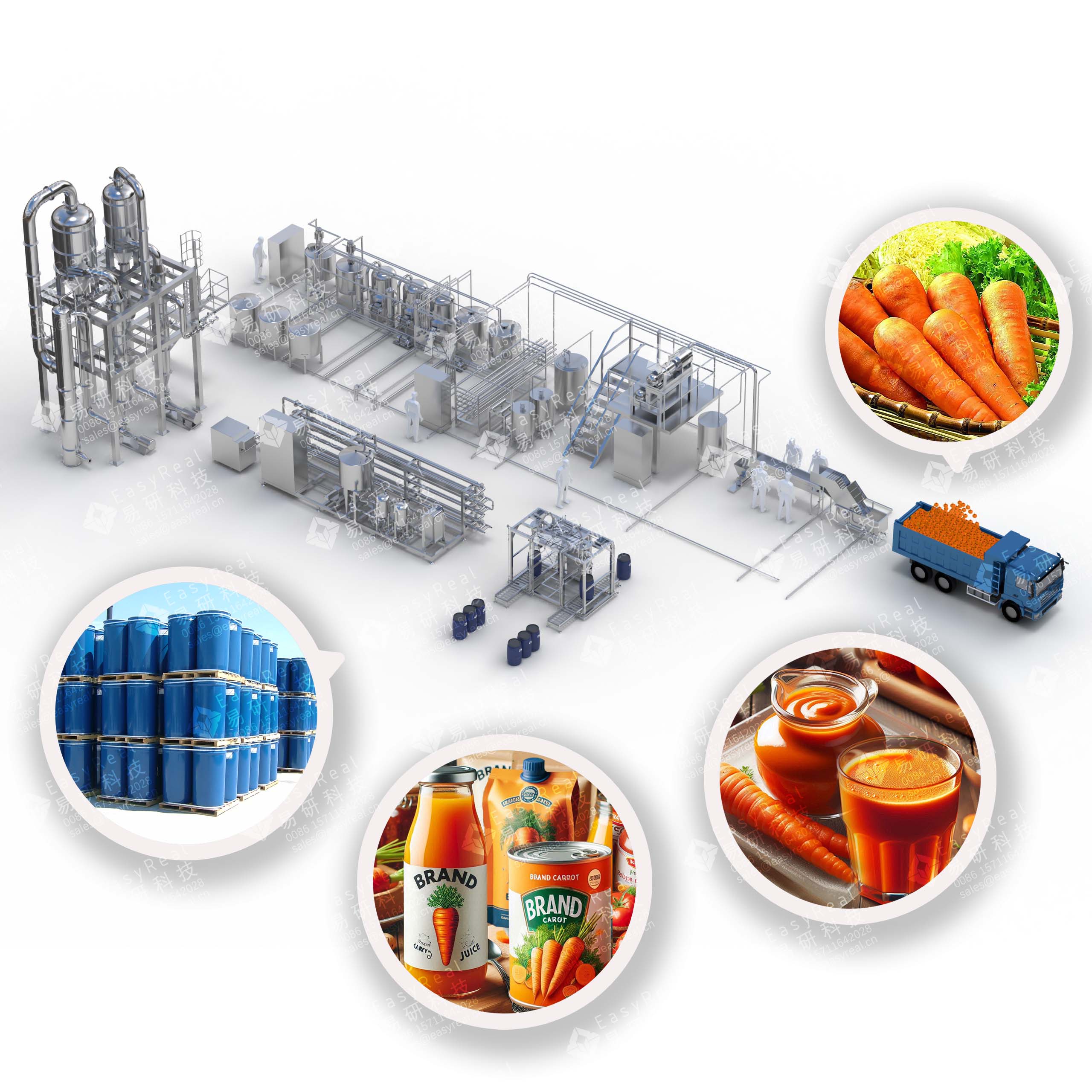 Carrot Processing Line | For Carrot Juice & Puree Production