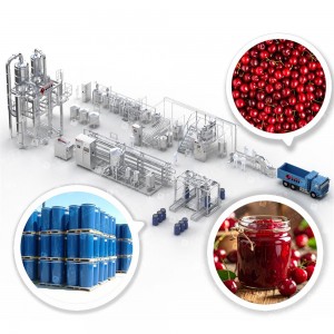 Cherry Processing Line