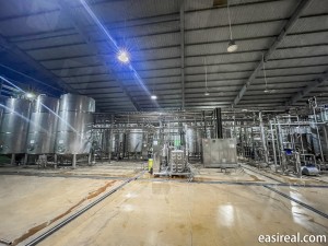Wide view of the beverage processing workshop at FGC’s factory in Vietnam, showing Shanghai EasyReal’s tubular UHT sterilization area integrated into the existing plant, with multiple stainless-steel storage tanks, pipe racks, and electrical control cabinets arranged along the production floor.