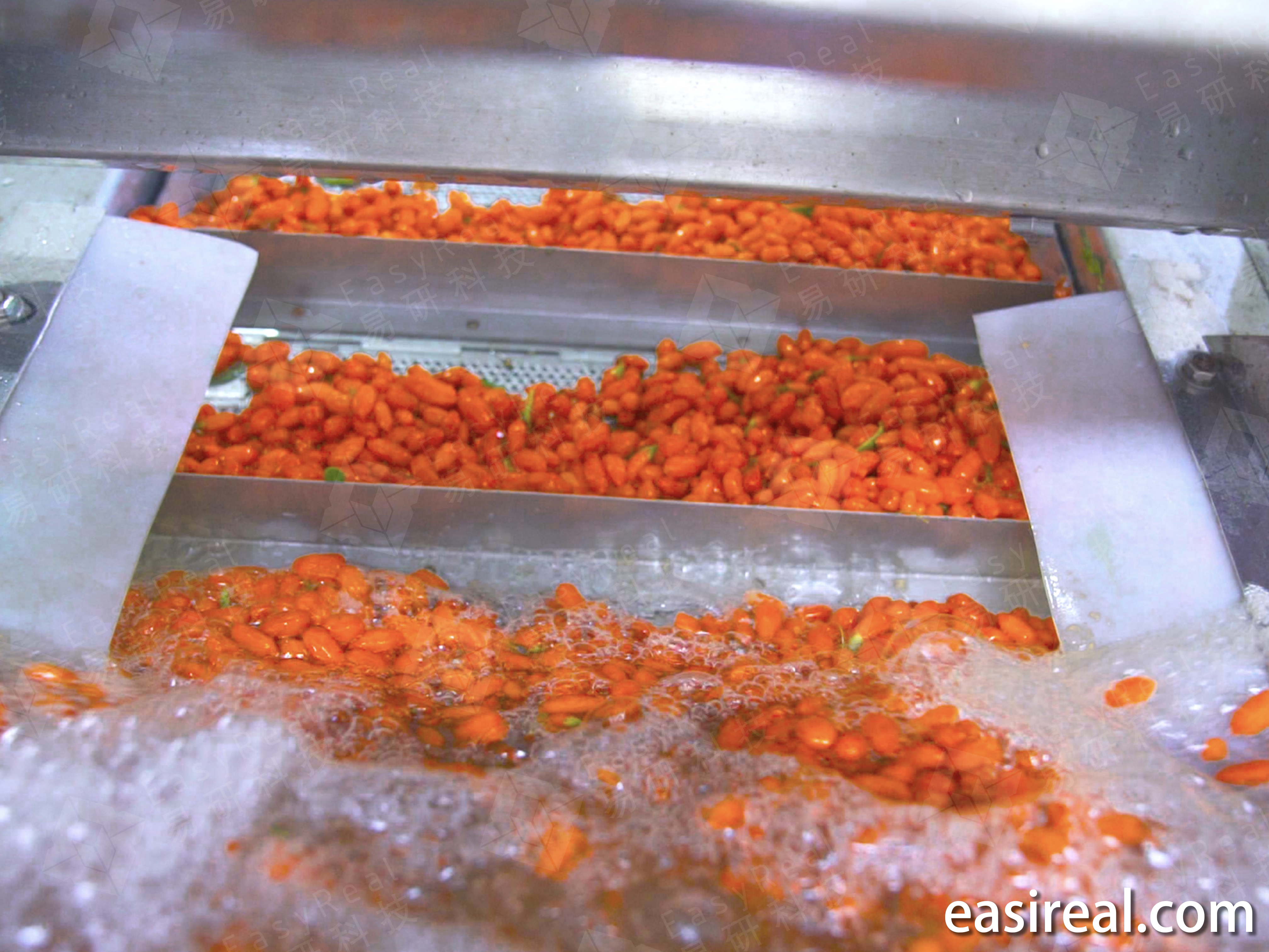 2TPH Goji Berry(Wolfberry) Juice & Puree Line for Ningxia Dahezhizhou