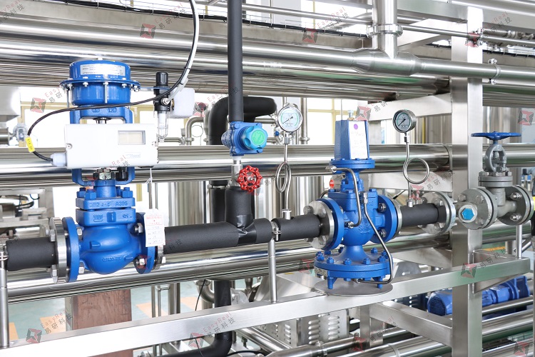 High Viscosity Tube-in-tube Sterilizer Line-5