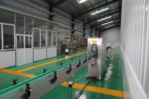 Automatic tomato paste bottling and packaging line in cleanroom
