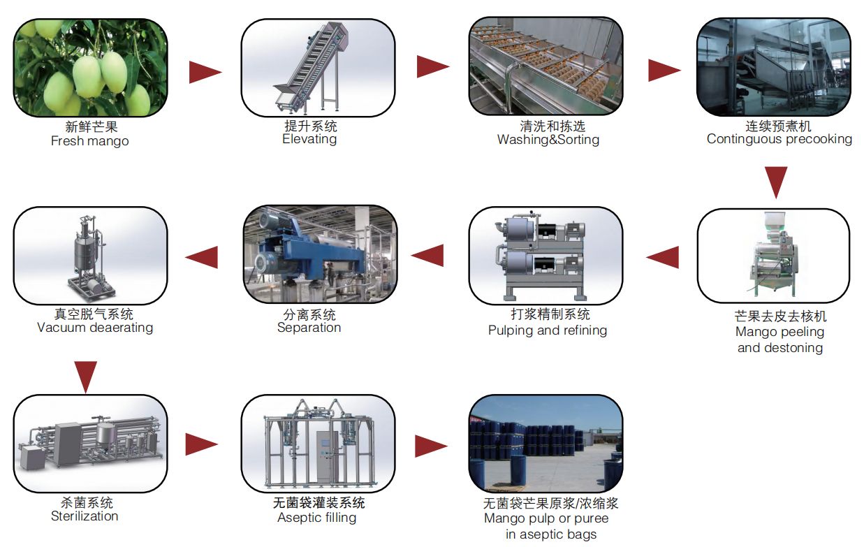 Mango machine asca1