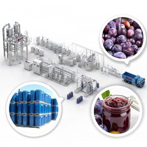 Plum Processing Line