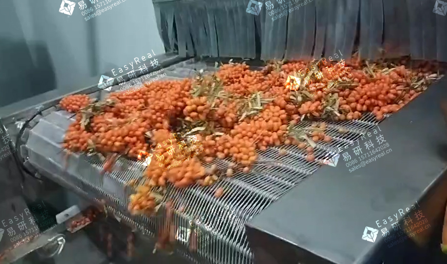 Sea Buckthorn Elevator