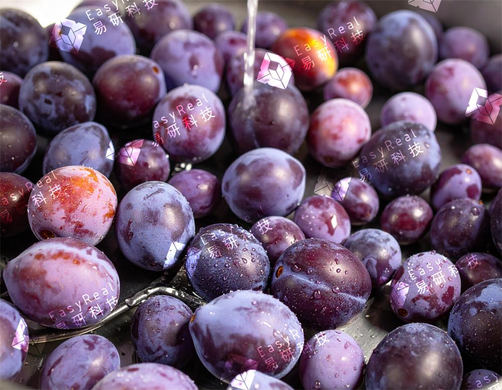 Washing Plum
