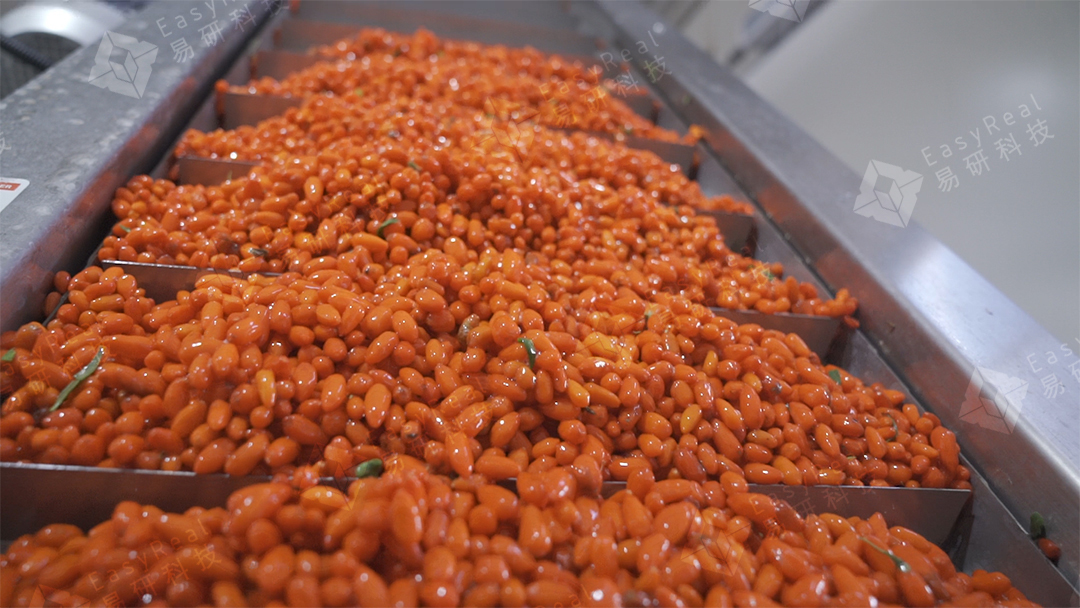 goji extract processing plant